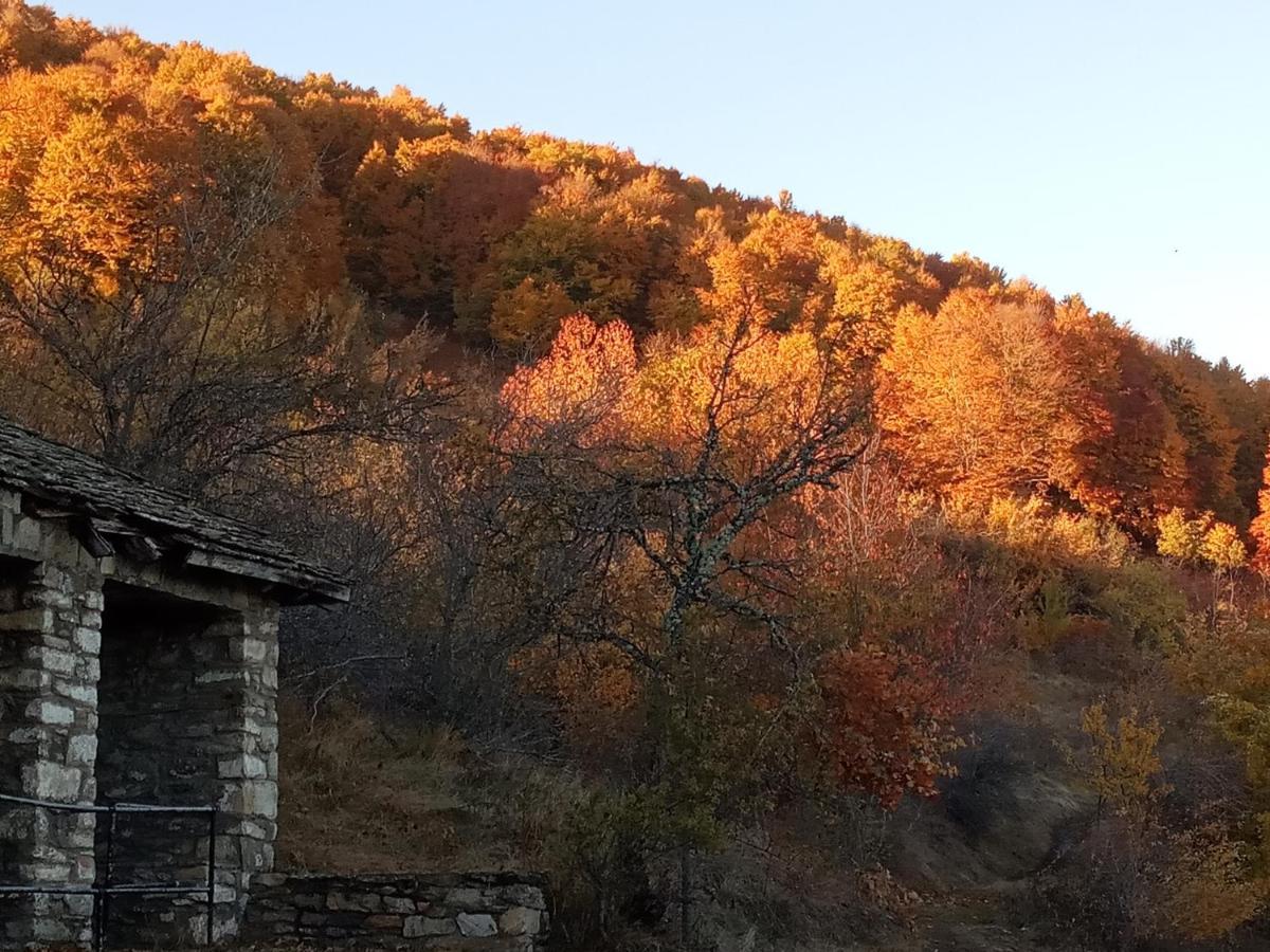 Guesthouse Kontogianni - Materka Nimfaíon Dış mekan fotoğraf